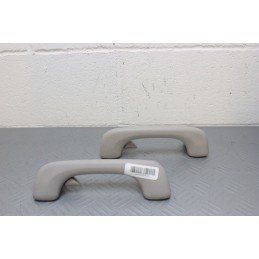 MANIGLIA SOTTOTETTO POSTERIORI RENAULT MODUS DAL 2004 AL 2008 II SERIE  1671725040085
