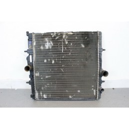 RADIATORE ACQUA PEUGEOT 206 PLUS 1.1 BENZINA DAL 2009 AL 2012  1671807696810