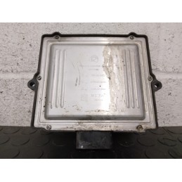 Centralina GPL Peugeot 407 SW del 2005 Cod. 67r-010020 / 110r-000044 / 10r-030831  1663835242701