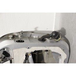 SPORTELLO ANTERIORE SINISTRO PEUGEOT 206 PLUS DAL 2009 AL 2012  2400000009804