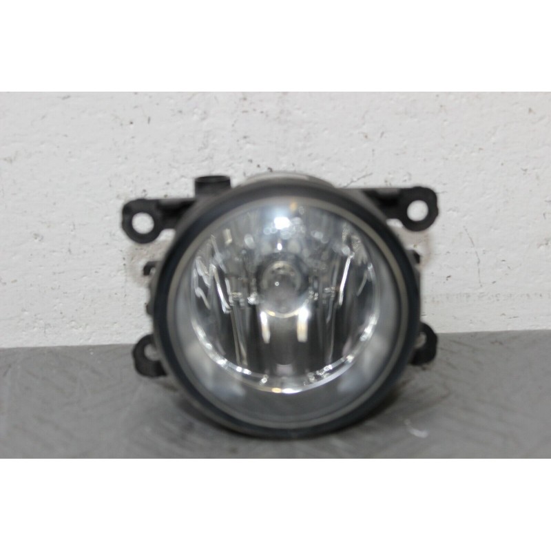 FARETTO FENDINEBBIA ANT. FORD FOCUS SW DAL 2004 AL 2011 COD. 2N11-15201-AB  2400000010193