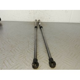 COPPIA PISTONCINI PORTELLONE POST. CITROEN C4 MK1 BERLINA 1.4B DAL 2004 AL 2010  2400000036548
