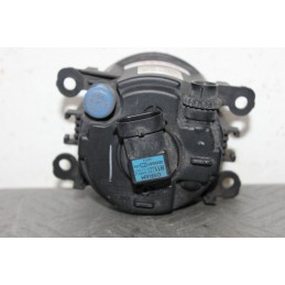 FARETTO FENDINEBBIA ANT. FORD FOCUS SW DAL 2004 AL 2011 COD. 2N11-15201-AB  2400000010193