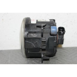 FARETTO FENDINEBBIA ANT. FORD FOCUS SW DAL 2004 AL 2011 COD. 2N11-15201-AB  2400000010193