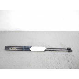 Pistoncini bagagliaio posteriore Renault Scenic II serie dal 2003 al 2009 cod 8200377199  1703861498441
