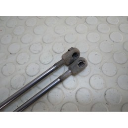 Pistoncini portellone bagagliaio posteriore Renault Scenic II serie dal 2003 al 2009  1706177489783