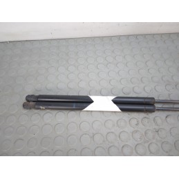 Pistoncini portellone bagagliaio posteriore Renault Scenic II serie dal 2003 al 2009  1706177489783