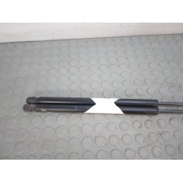 Pistoncini portellone bagagliaio posteriore Renault Scenic II serie dal  2003 al 2009