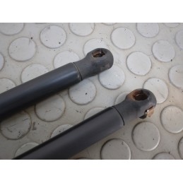 Pistoncini portellone bagagliaio posteriore Ford Fiesta V dal 2002 al 2008 cod 2s51-b406a10-ac  1708357916492