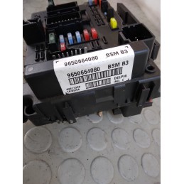 Centralina portafusibili Peugeot 206 dal 1999 al 2011 cod 9650664080  1711032474712