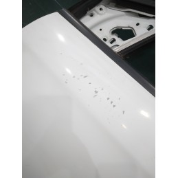Sportello portiera anteriore sinistra Fiat Bravo dal 2007 al 2014  1730718382264