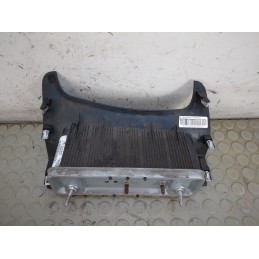 Airbag ginocchia ant sx Ford Fiesta VI dal 2008 al 2017 cod 8a61-a045j76-bd  1732202288465
