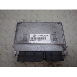 Centralina motore Vw Polo 9n3 dal 2005 al 2009 cod 03e906033ak 5wp4423603  1733308803835