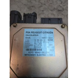 Centralina servosterzo idroguida Citroen C3 dal 2002 al 2010 cod 9645460880  1736872020196