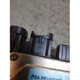 Centralina servosterzo idroguida Citroen C3 dal 2002 al 2010 cod 9645460880  1736872020196