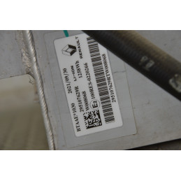 Batteria Renault Captur Hybrid E-Tech dal 2019 in poi cod 295f03455r 295107629r 295f17465r  1744378903400