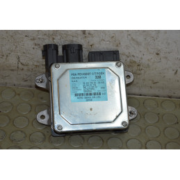 Centralina servosterzo idroguida Citroen C3 dal 2005 al 2010 cod 9665433880  1746540927047