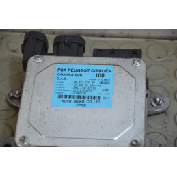 Centralina servosterzo idroguida Citroen C3 dal 2002 al 2005 cod 9662310080  1746541451060