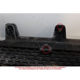 Mascherina griglia radiatore anteriore Hyundai Accent 1.6 Benzina del 2006  2400000007258