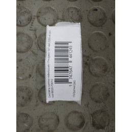 Centralina cambio robotizzato Peugeot 107 dal 2005 al 2014 cod 89530-70010  1747647441245