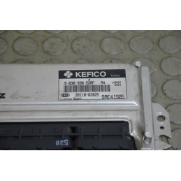 Centralina motore Kia Picanto 1.0 b dal 2004 al 2008 cod 39110-02025  1748593318933