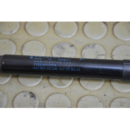 Coppia pistoncini cofano ant Mini Countryman SD R60 dal 2010 al 2017 cod 51239802054  1759412678244