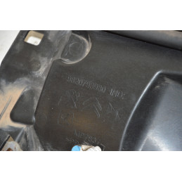 Gocciolatoio griglia parabrezza Peugeot 208 dal 2019 al 2023 cod 9820793980  1760538137348