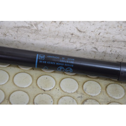 Coppia pistoncini portellone post Citroen C3 Aircross dal 2017 al 2024 cod 39197491  1766159686692