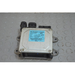 Centralina servosterzo idroguida Peugeot 1007 dal 2005 al 2010 cod 9655460380  1767363517154