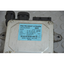 Centralina servosterzo idroguida Peugeot 1007 dal 2005 al 2010 cod 9655460380  1767363517154