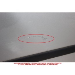 Sportello portiera anteriore destro Ford Fiesta 3 Porte dal 2002 al 2008  2400000005933