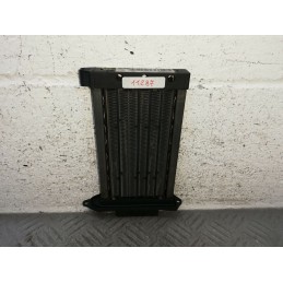 RESISTENZA RISCALDATORE RISCALDAMENTO RENAULT CLIO 3 SERIE DAL 2005 AL 2013  2400000048060