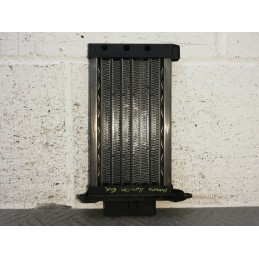 RESISTENZA RISCALDATORE RISCALDAMENTO RENAULT CLIO 3 SERIE DAL 2005 AL 2013  2400000048060