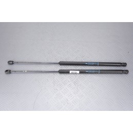 COPPIA PISTONCINI AMMORTIZANTI COFANO POSTERIORE CITROEN C4 PICASSO ANNO 06-12  2400000008359
