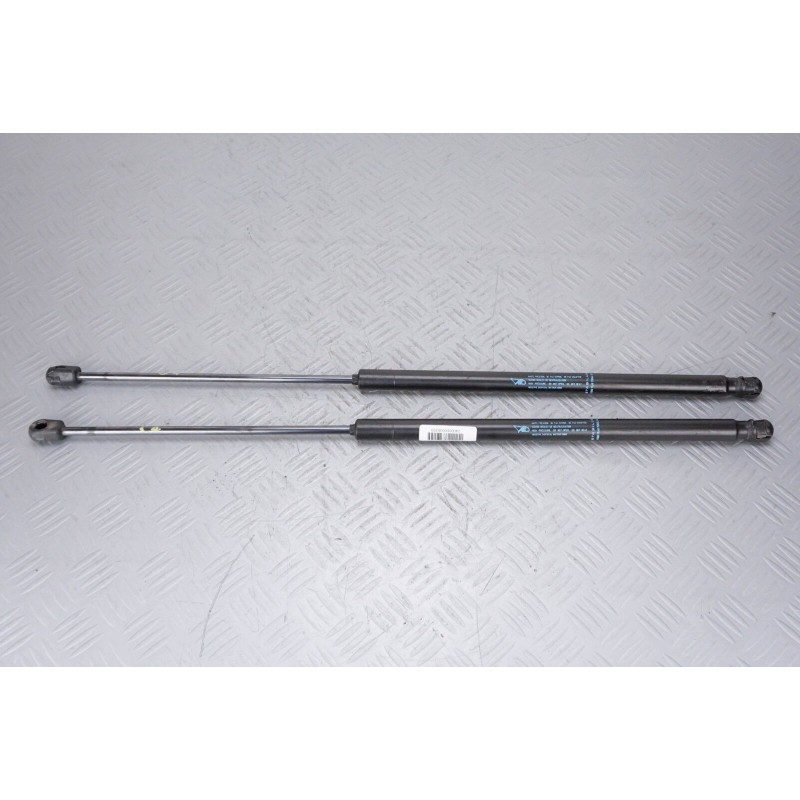 COPPIA PISTONCINI AMMORTIZANTI COFANO POSTERIORE CITROEN C4 PICASSO ANNO 06-12  2400000008359