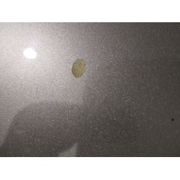 PORTELLONE POSTERIORE AUDI A4 B7 SW DEL 2006  2400000093466