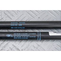 COPPIA PISTONCINI PORTELLONE POSTERIORE PEUGEOT 1007 ANNO 05-10 COD. 9649587680  2400000008664