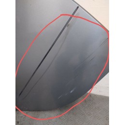 SPORTELLO POST. DX SMART FORFOUR W454 DEL 2005  2400000102427