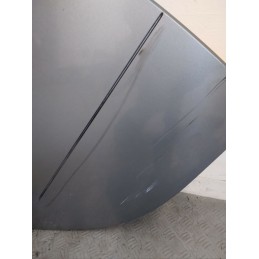 SPORTELLO POST. DX SMART FORFOUR W454 DEL 2005  2400000102427